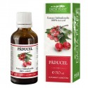 Tinctura de Paducel 50ml Dacia Plant