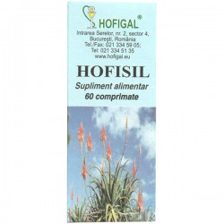 Hofisil 350mg x 60cp (Hofigal)