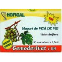 Gemoderivat Muguri de Vita De Vie 30 monodoze x 1.5 ml-Hofigal